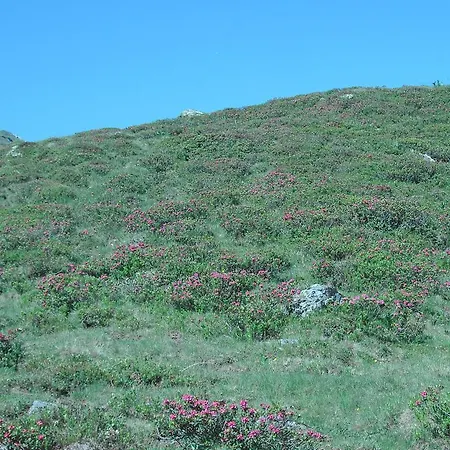 شقة Schitter Sankt Andrä im Lungau