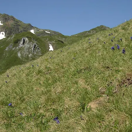 Schitter * Sankt Andrä im Lungau