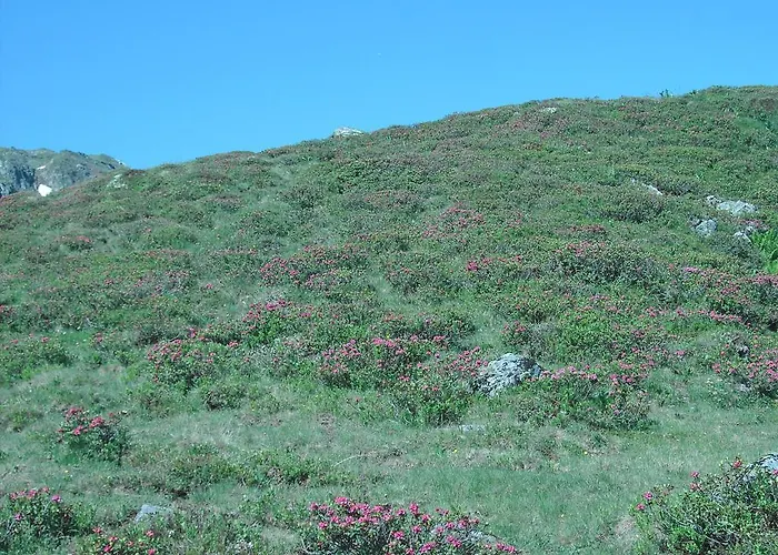 شقة Schitter Sankt Andrä im Lungau